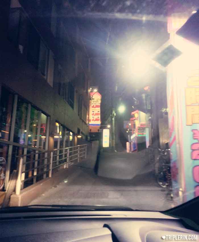 One of the Love Hotel streets (blurry photo because the car was moving)
